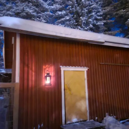 Rasti's Old Pine - Rastin Vanha Maenty * Kittilä