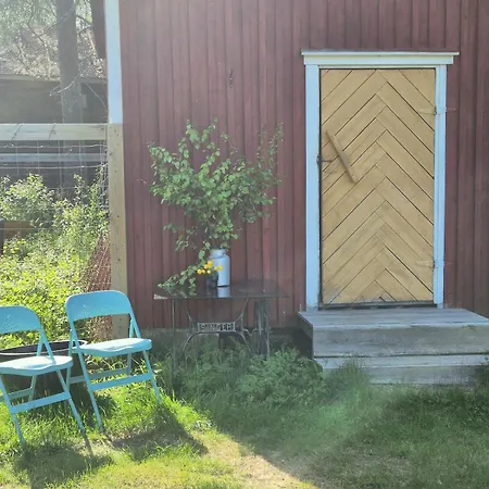 Rasti's Old Pine - Rastin Vanha Maenty Kittilä